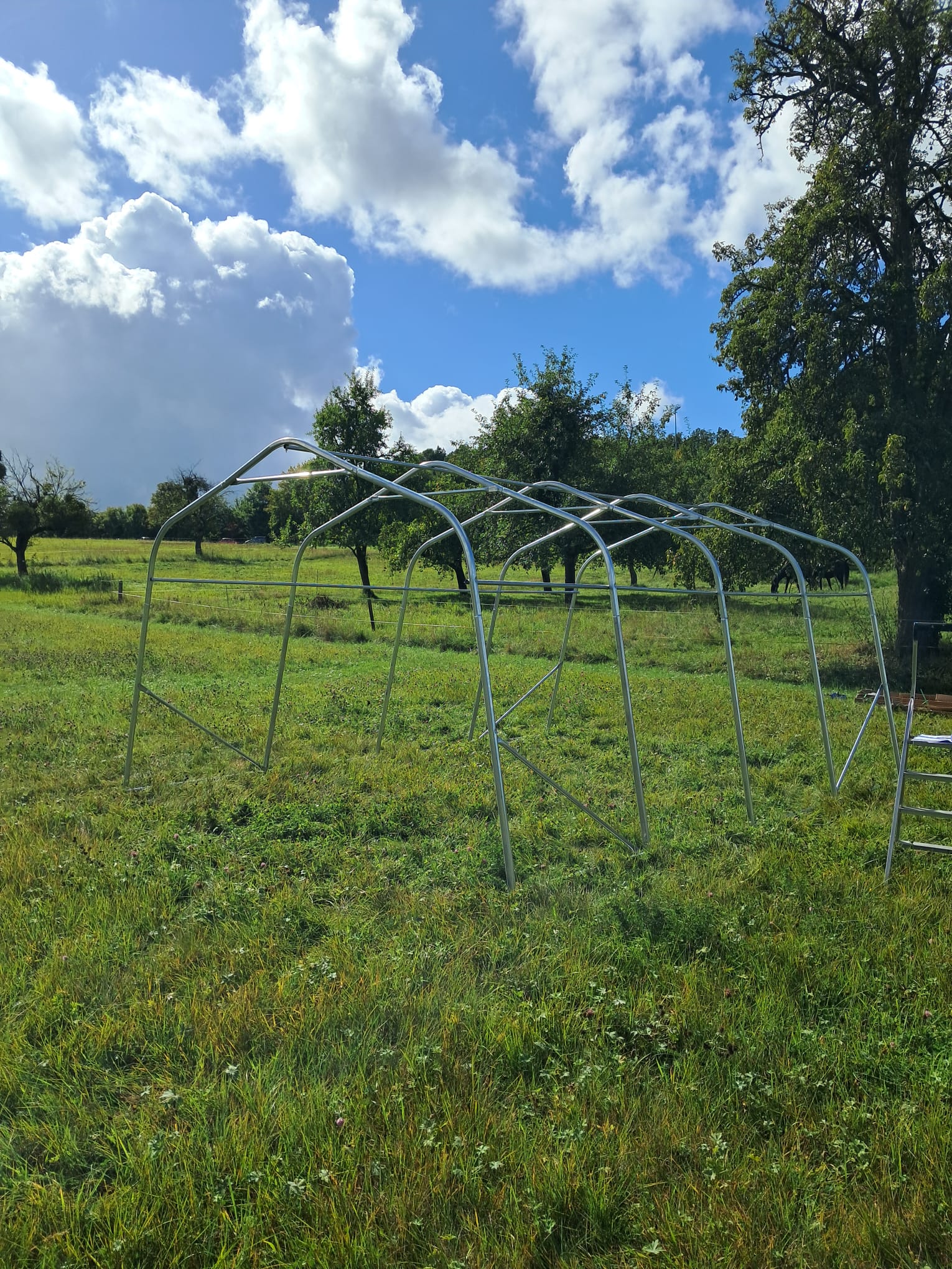 Ein neues Zuhause auf der Weide – unser Weidezelt steht!