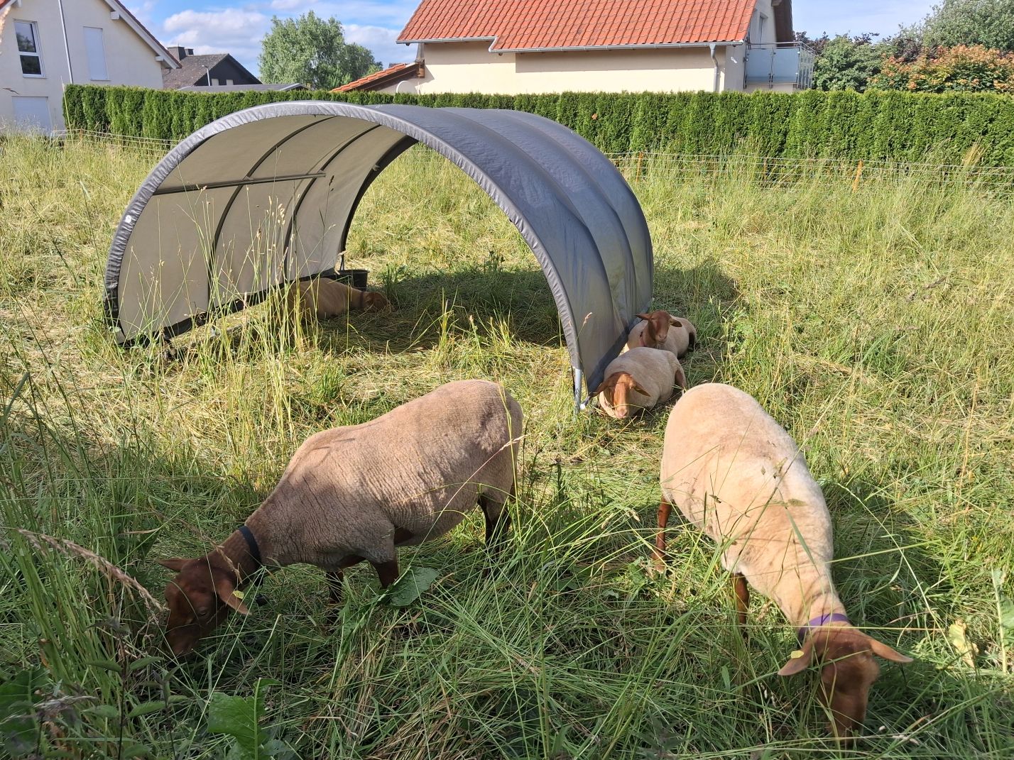 Erst Sonne tanken, dann ab in den Schatten